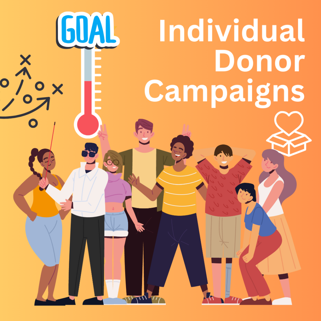 Individual Donor Campaigns